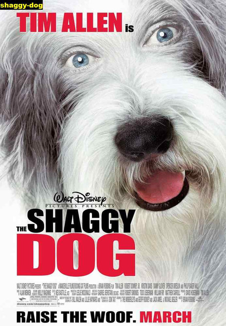 Jual Poster Film shaggy dog