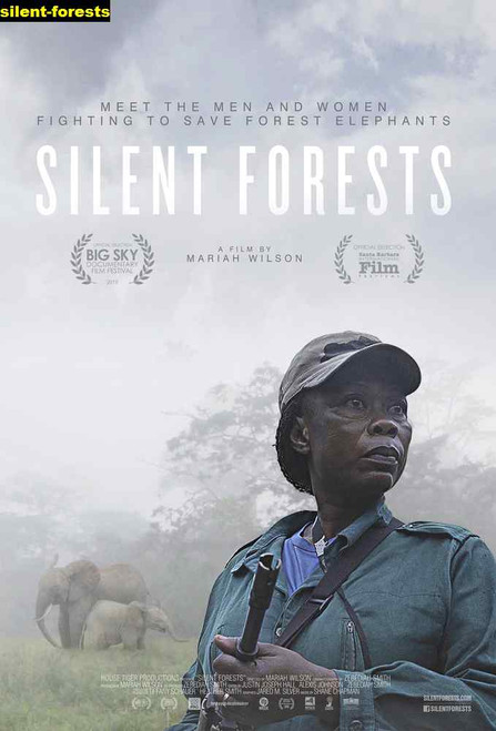 Jual Poster Film silent forests