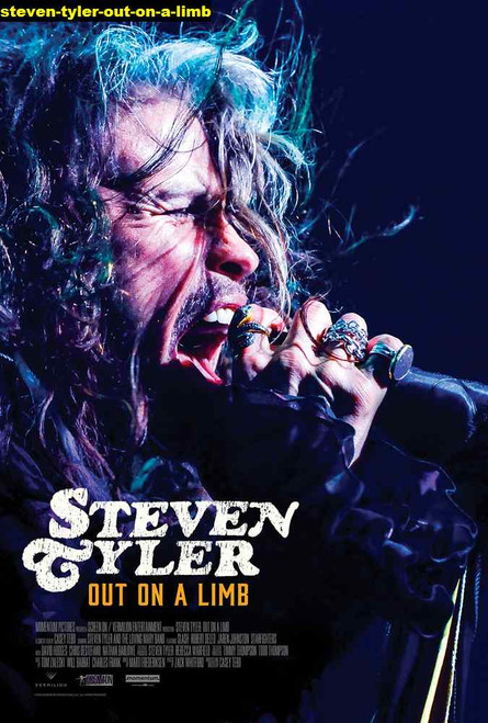 Jual Poster Film steven tyler out on a limb