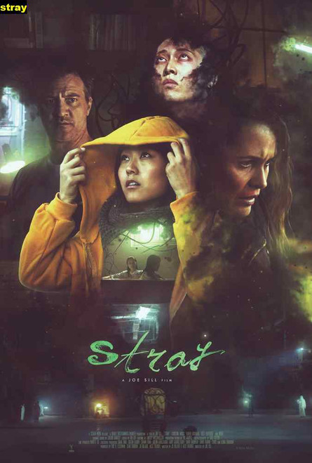 Jual Poster Film stray