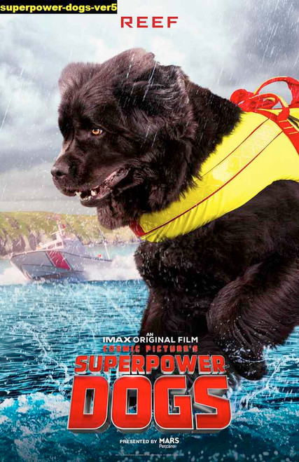 Jual Poster Film superpower dogs ver5
