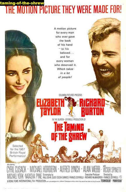 Jual Poster Film taming of the shrew