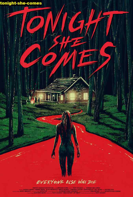 Jual Poster Film tonight she comes