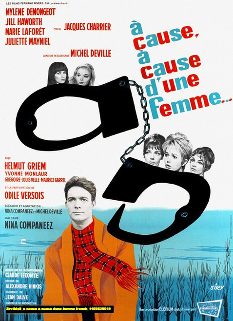 Jual Poster Film a cause a cause dune femme french (2bvtbig8)