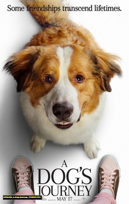 Jual Poster Film a dogs journey (xt9da4br)