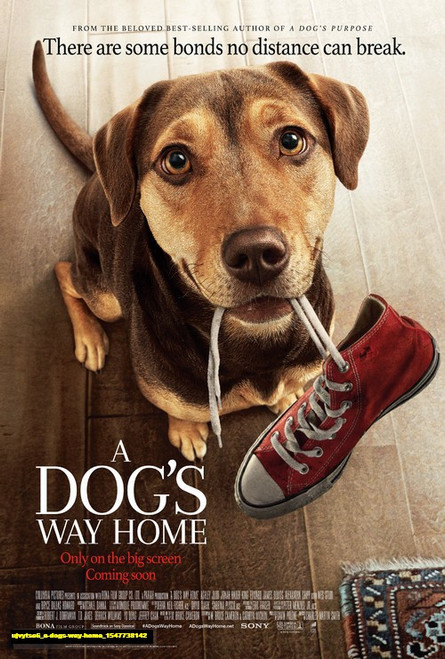 Jual Poster Film a dogs way home (ujvytse6)