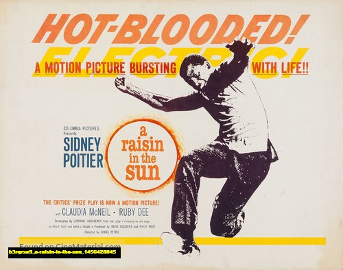 Jual Poster Film a raisin in the sun (b3rqrse9)