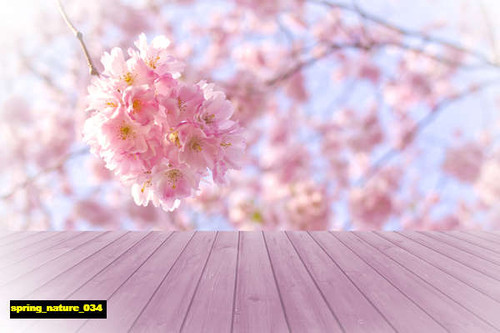 jual poster pemandangan musim semi spring 034