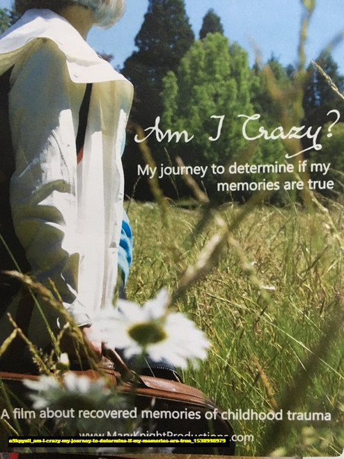 Jual Poster Film am i crazy my journey to determine if my memories are true (a9kpyali) Jual Poster Film am i crazy my journey to determine if my memories are true (a9kpyali)