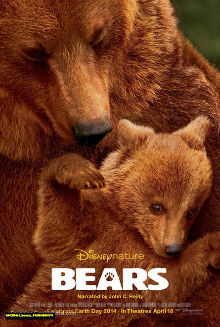 Jual Poster Film bears (ld4384rt)