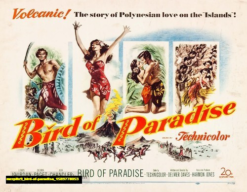 Jual Poster Film bird of paradise (mrzpilx9)