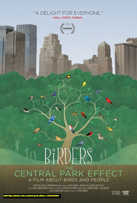 Jual Poster Film birders the central park effect (hdf7v6jo)