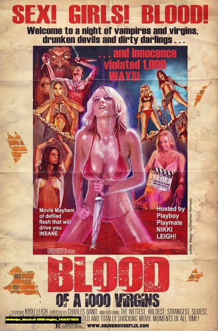 Jual Poster Film blood of 1000 virgins (ldvhwlpc)