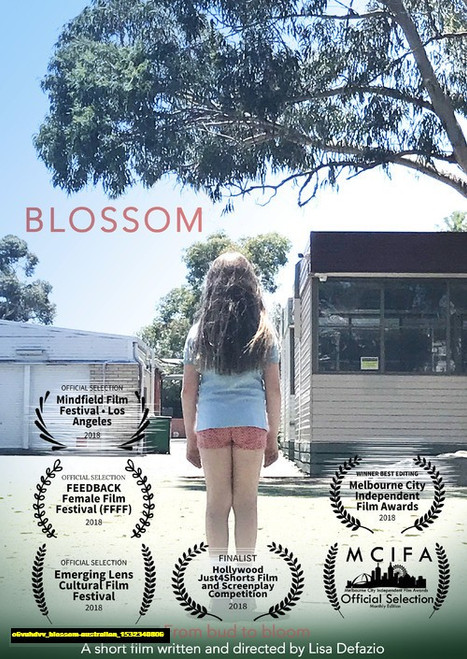 Jual Poster Film blossom australian (o6vuhdvv)
