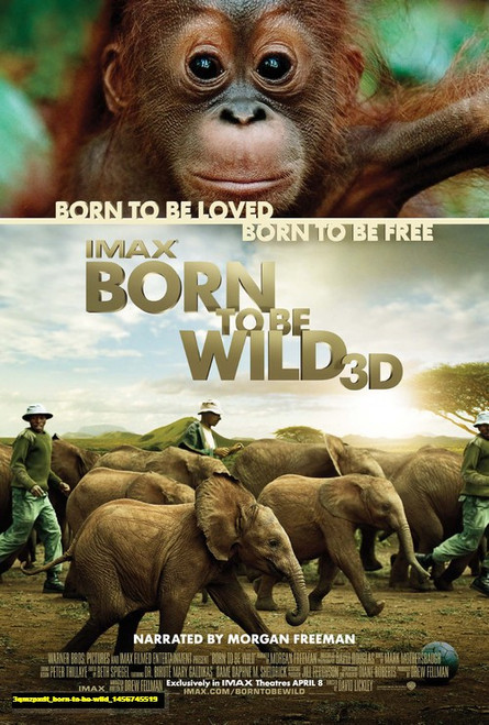 Jual Poster Film born to be wild (3qmzpxdt)