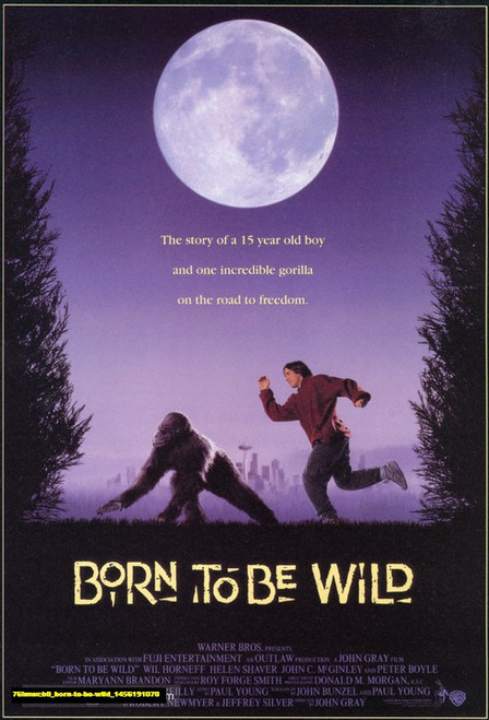 Jual Poster Film born to be wild (76imwcb0)