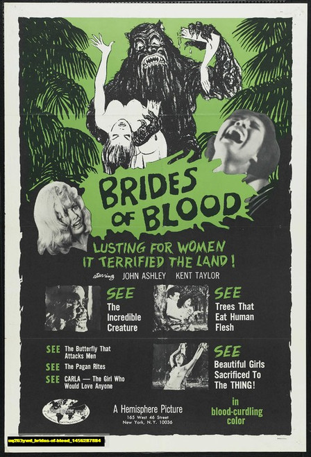 Jual Poster Film brides of blood (uq263ywd)