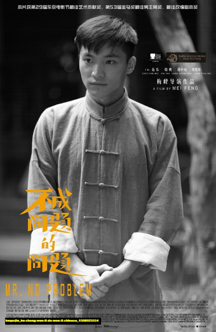 Jual Poster Film bu cheng wen ti de wen ti chinese (kuqarjin)