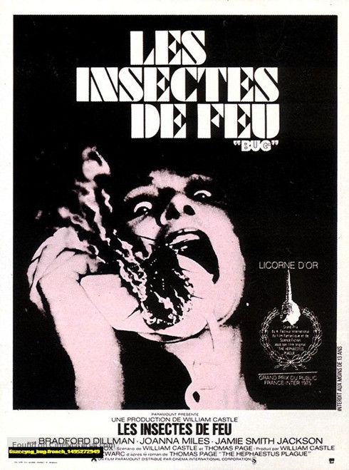 Jual Poster Film bug french (6szccyog)