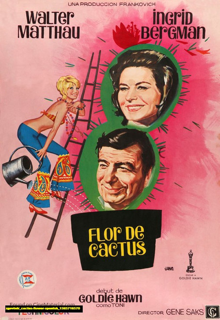 Jual Poster Film cactus flower spanish (zgovtntr)