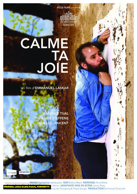 Jual Poster Film calme ta joie french (42fx0ddw)