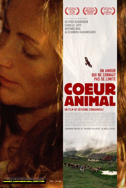 Jual Poster Film coeur animal swiss (ssxaehz1)