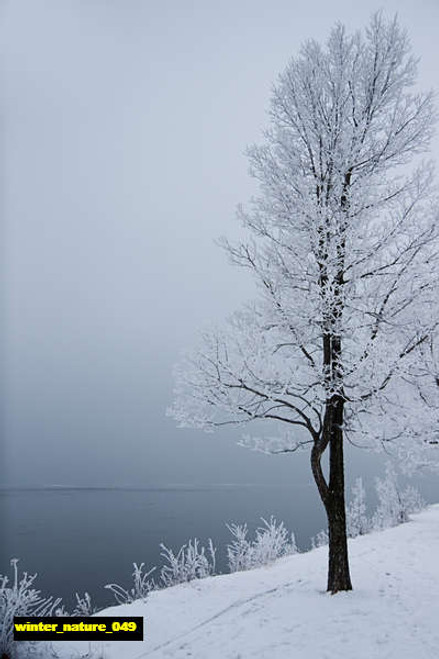 jual poster pemandangan musim salju dingin winter 049