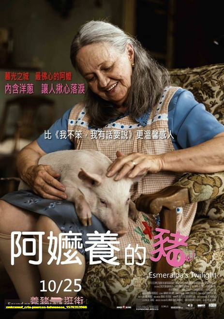 Jual Poster Film cria puercos taiwanese (zmkrxmuf)
