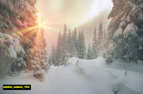 jual poster pemandangan musim salju dingin winter 153