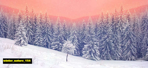 jual poster pemandangan musim salju dingin winter 154