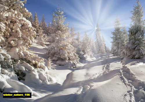 jual poster pemandangan musim salju dingin winter 156