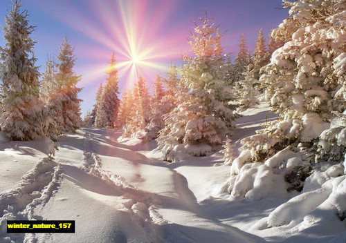 jual poster pemandangan musim salju dingin winter 157