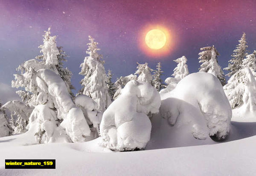 jual poster pemandangan musim salju dingin winter 159