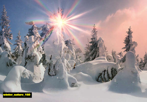 jual poster pemandangan musim salju dingin winter 160
