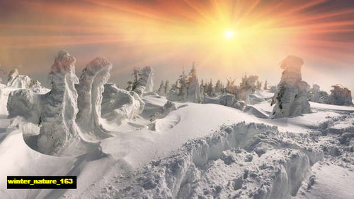 jual poster pemandangan musim salju dingin winter 163