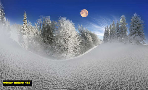 jual poster pemandangan musim salju dingin winter 167