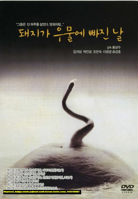 Jual Poster Film daijiga umule pajinnal south korean movie cover (0hqmrza3)