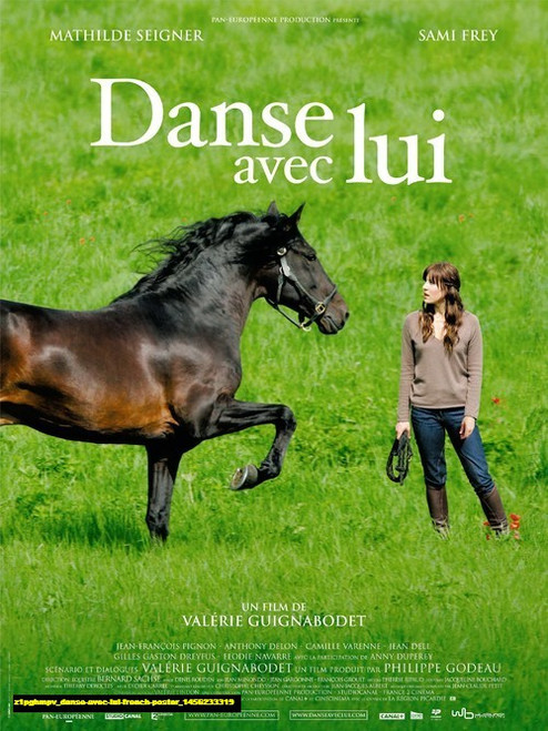 Jual Poster Film danse avec lui french poster (z1pghmpv)