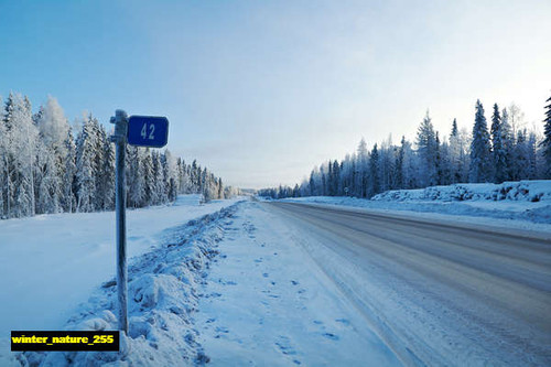jual poster pemandangan musim salju dingin winter 255 jual poster pemandangan musim salju dingin winter 255
