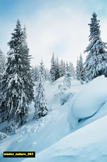 jual poster pemandangan musim salju dingin winter 261 jual poster pemandangan musim salju dingin winter 261