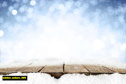 jual poster pemandangan musim salju dingin winter 269 jual poster pemandangan musim salju dingin winter 269