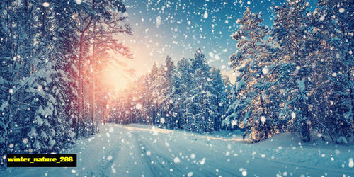 jual poster pemandangan musim salju dingin winter 288 jual poster pemandangan musim salju dingin winter 288
