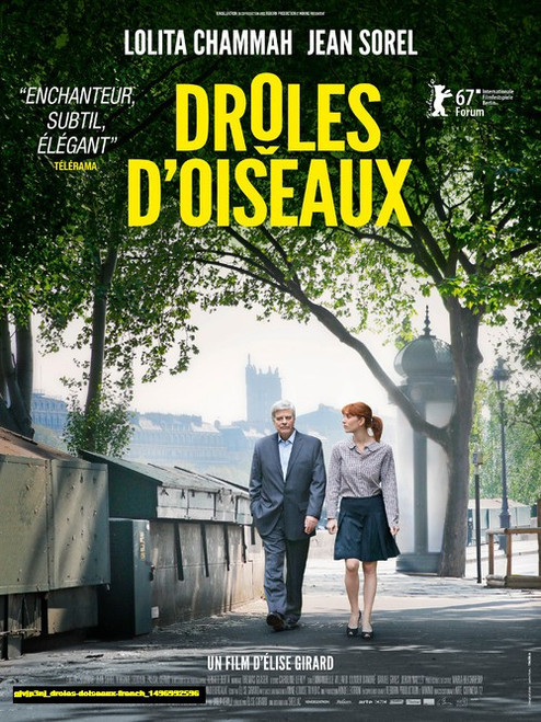 Jual Poster Film droles doiseaux french (gjvjp3nj)