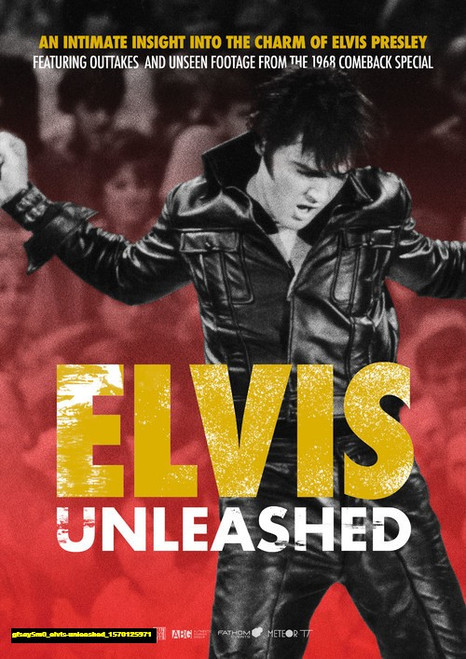 Jual Poster Film elvis unleashed (gfsay5m0)