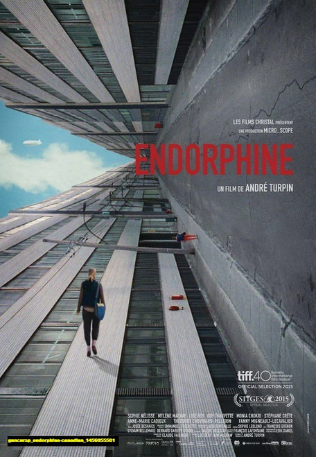 Jual Poster Film endorphine canadian (gnncnrsp)