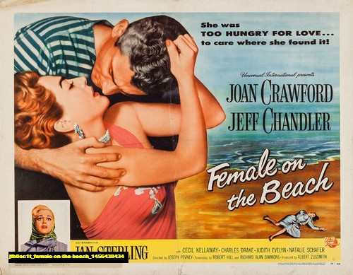 Jual Poster Film female on the beach (jfb0oc1t)