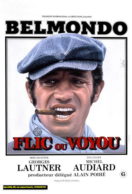 Jual Poster Film flic ou voyou french (kycvtldb)
