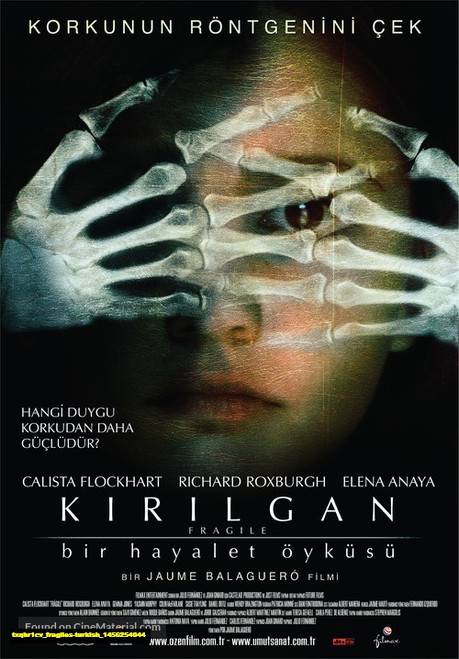 Jual Poster Film fragiles turkish (txqbr1cv) Jual Poster Film fragiles turkish (txqbr1cv)