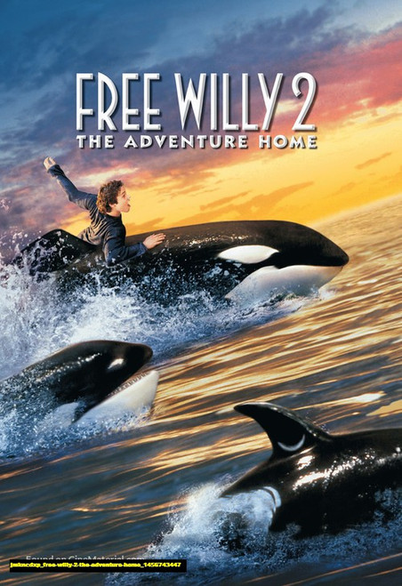 Jual Poster Film free willy 2 the adventure home (jmkncdxp) Jual Poster Film free willy 2 the adventure home (jmkncdxp)