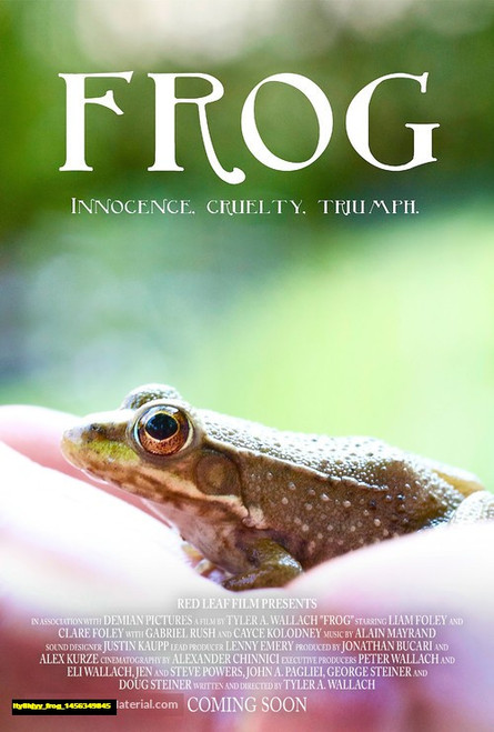 Jual Poster Film frog (ity8hjyy)